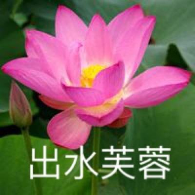 重庆全面建立流域横向生态保护补偿机制